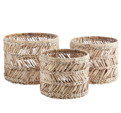 WATER HYACINTH grozs