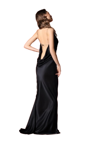 Sabine drapēta gara zīda vakarkleita ar atvērtu muguru