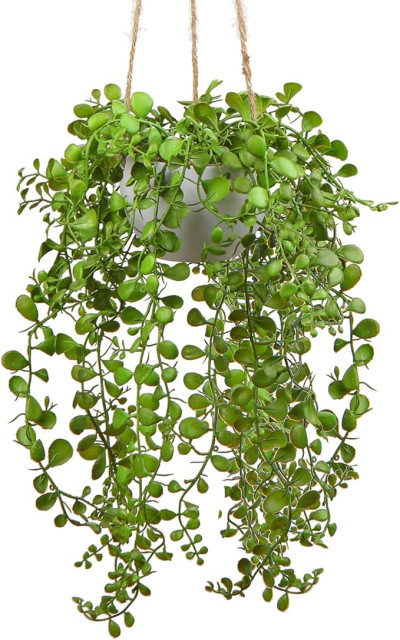 Mākslīgs sukulents