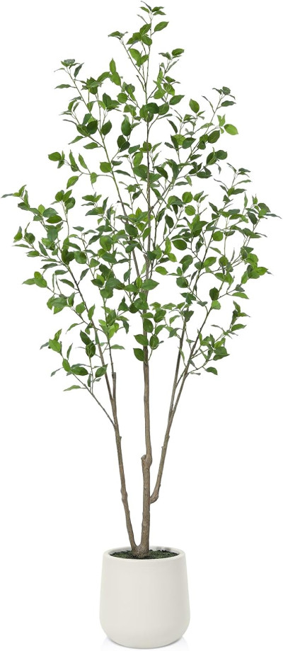 Mākslīgs dekoratīva fikusa koks baltā podiņā