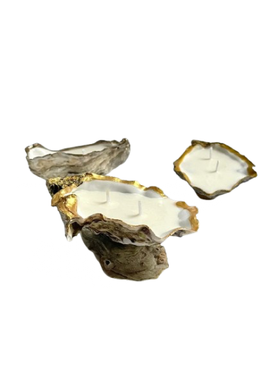 Cest'q Svece Oyster shell
