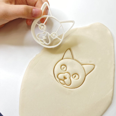 KAĶU sērijas formiņa