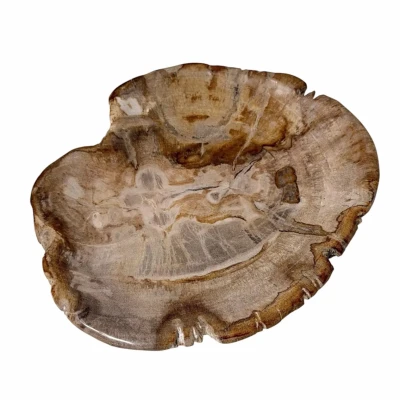 Pārakmeņojusies koka paplāte BARA 17x14cm